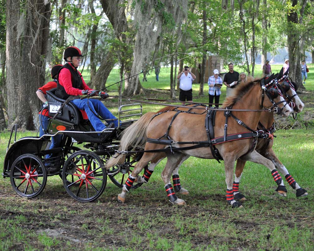 Pairs XL Bennington Carriages